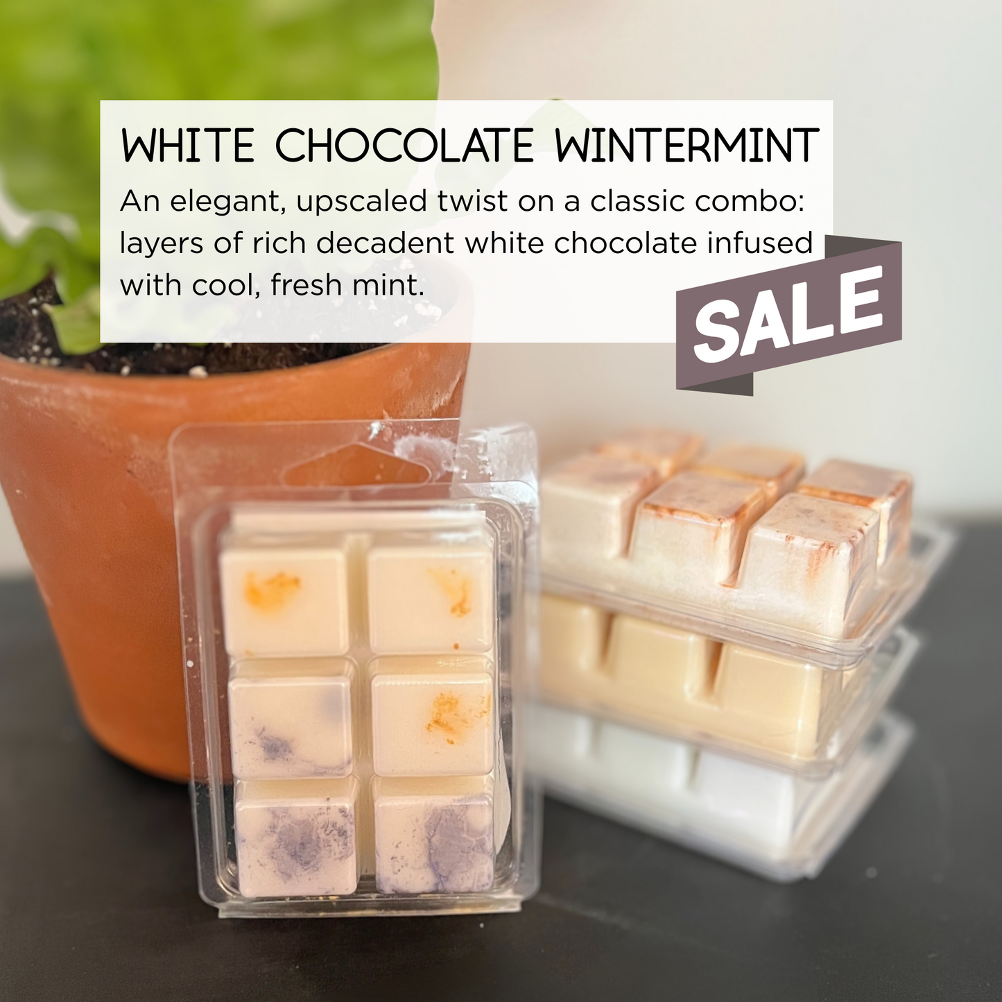 SALE - Dane Good