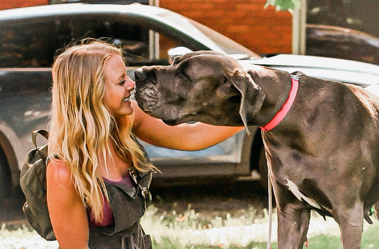 dane good owner, kelly holland, with great dane named lady